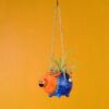 Aadita Hanging Planter