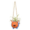 Aadita Hanging Planter