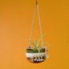 Aatish Earthen Planter