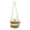 Aatish Earthen Planter