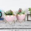 Apple Dun Planter (Pink) - Set Of Two