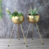 Apple Plus Floor Planter - Set Of Two