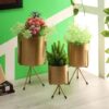 Aslana Kina Planter (Gold) - Set Of Three