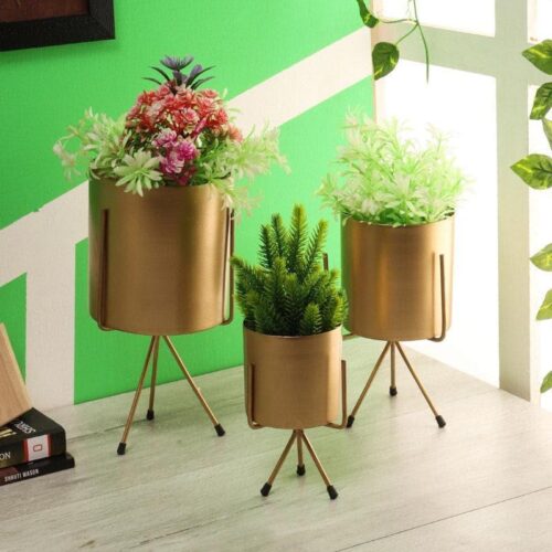Aslana Kina Planter (Gold) - Set Of Three