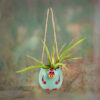 Basira Hanging Planter