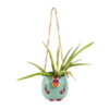 Basira Hanging Planter
