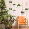 Boho Macrame Plant Hangers - Set Of Five