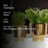 Bromo Metal Planter (Gold) - Set Of Two