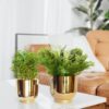 Bromo Metal Planter (Gold) - Set Of Two