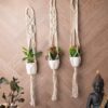 Cosette Macrame Planter - Set Of Three