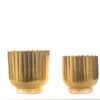 Cosie Coral Planter (Gold) - Set Of Two
