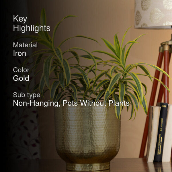 Edo Hammered Golden Planter - Gold Edo Hammered Golden Planter - Gold