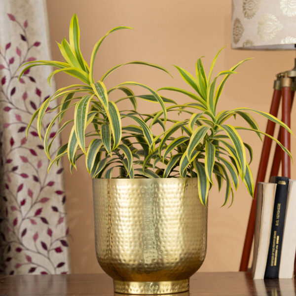 Edo Hammered Golden Planter - Gold Edo Hammered Golden Planter - Gold