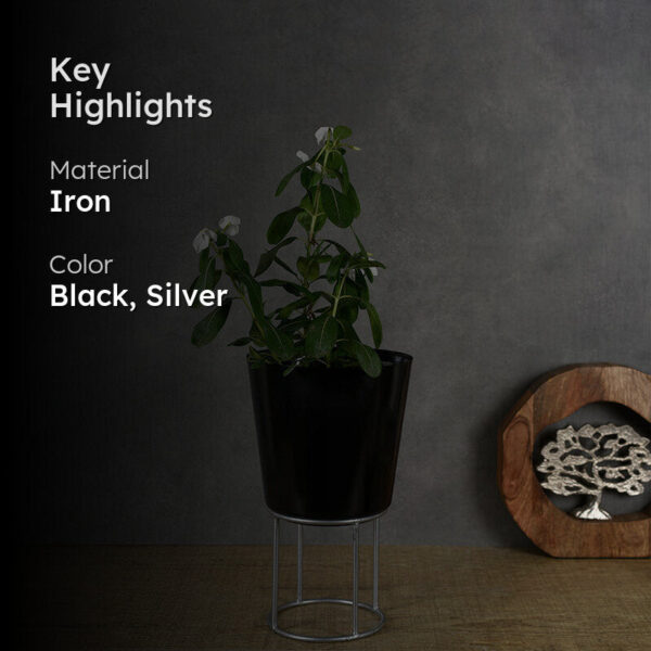 Florinox Iron Planter Florinox Iron Planter