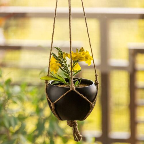 Goblo Handpainted Hanging Planter