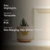 Gold Leaf Planter