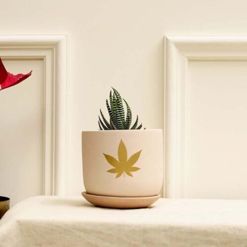 Gold Leaf Planter