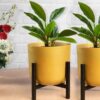 Goldie Planter With Stand - Set Of Two