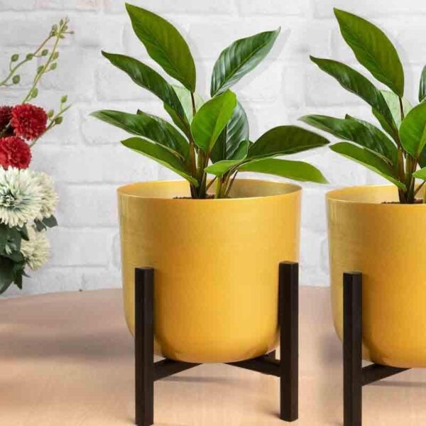 Goldie Planter With Stand - Set Of Two Goldie Planter With Stand - Set Of Two
