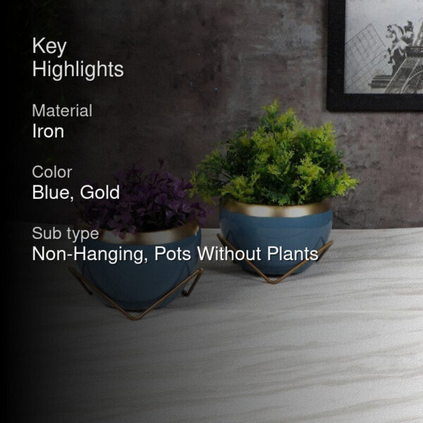 Guja Apple Planter (Blue) - Set Of Two Guja Apple Planter (Blue) - Set Of Two