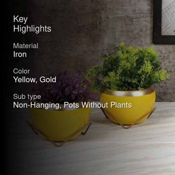 Guja Apple Planter (Yellow) - Set Of Two Guja Apple Planter (Yellow) - Set Of Two
