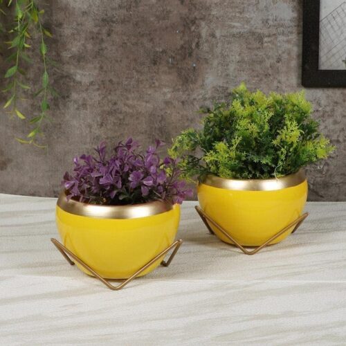 Guja Apple Planter (Yellow) - Set Of Two