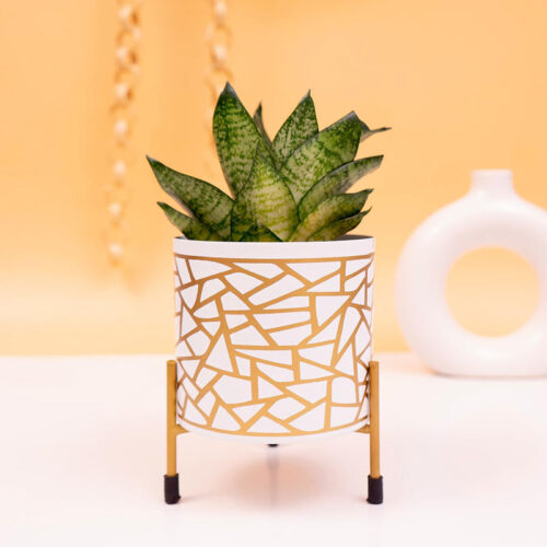 Kyari Geometric Trichome Metal Planter With Stand