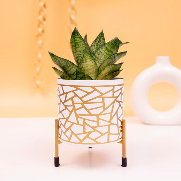 Kyari Geometric Trichome Metal Planter With Stand Kyari Geometric Trichome Metal Planter With Stand