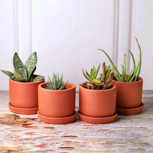 Lark Terracotta Planter - Set Of Four