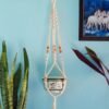 Lasya Macrame Planter - Set Of Three