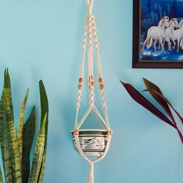 Lasya Macrame Planter - Set Of Three Lasya Macrame Planter - Set Of Three