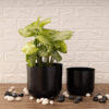 Luxe Glow Planter (Black) - Set Of Two