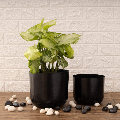 Luxe Glow Planter (Black) - Set Of Two