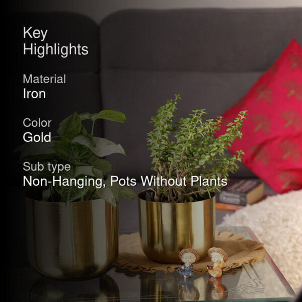 Luxe Glow Planter (Gold) - Set Of Two Luxe Glow Planter (Gold) - Set Of Two