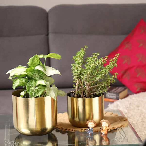 Luxe Glow Planter (Gold) - Set Of Two Luxe Glow Planter (Gold) - Set Of Two