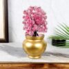 Matki Misa Planter