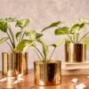 Maude Metal Planter - Set Of Three