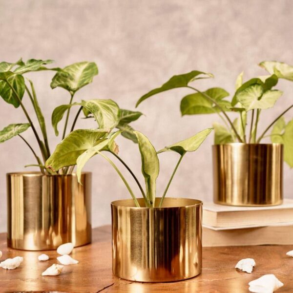 Maude Metal Planter - Set Of Three Maude Metal Planter - Set Of Three