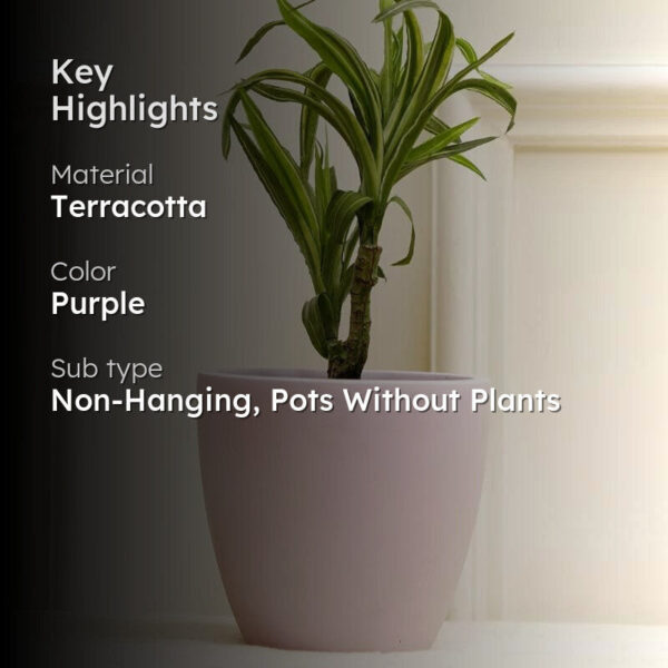 Mebu Planter Mebu Planter