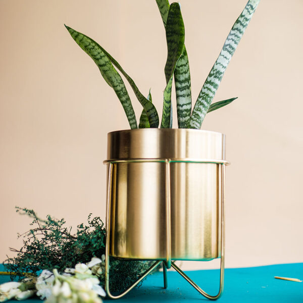 Metal Root Iron Planter Metal Root Iron Planter