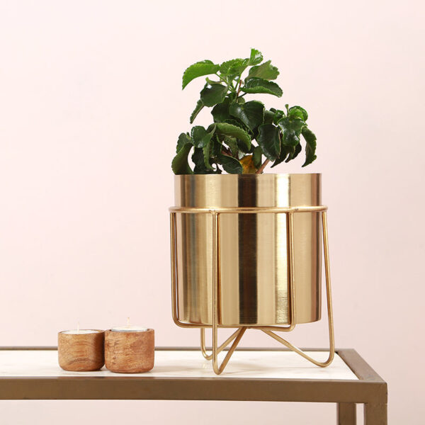 Metal Root Iron Planter Metal Root Iron Planter