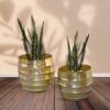 Moha Iron Planter - Gold