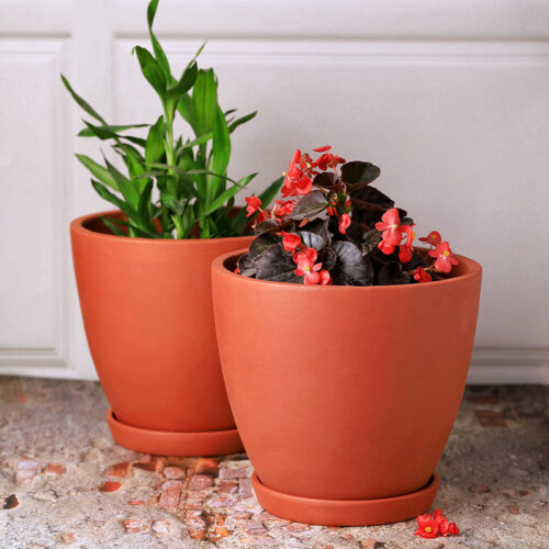 Mud Haus Terracotta Planter - Set Of Two