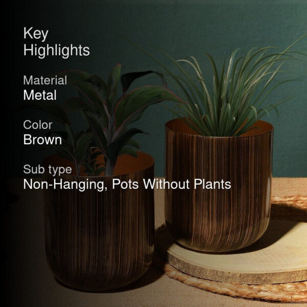 Nebula Novo Planter - Set Of Two Nebula Novo Planter - Set Of Two