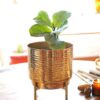 Nicolette Metal Planter - Medium