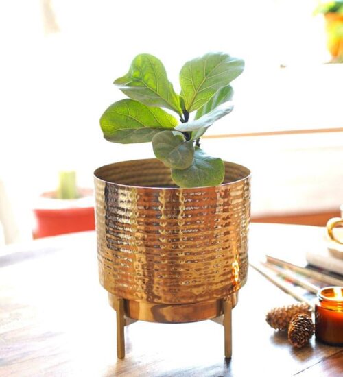Nicolette Metal Planter - Medium