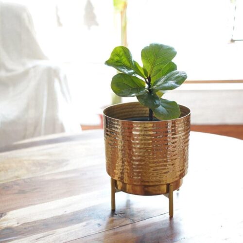 Nicolette Metal Planter - Small