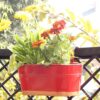 Norva Hanging Planter (Red) - Set Of Six