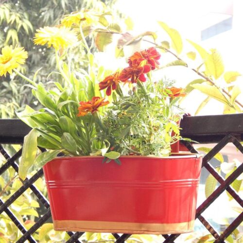 Norva Hanging Planter (Red) - Set Of Six