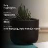 Oh-So Cute Planter- Black